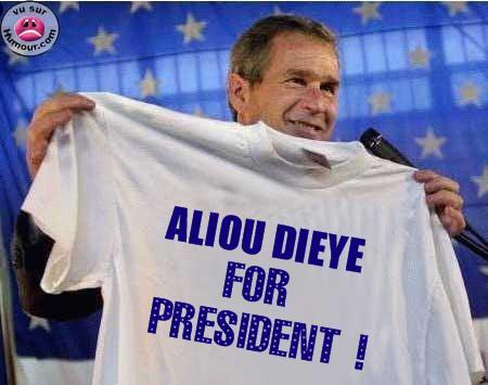 salut 