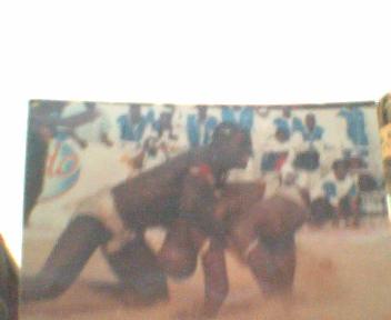 ARENES SENEGALAISES DE LUTTE