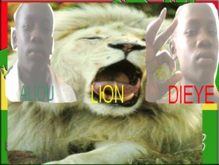 LES 3 ROIS