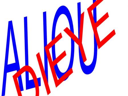 dieye aliou  ou bien aliou dieye